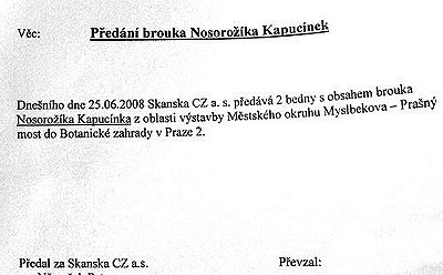 protokol