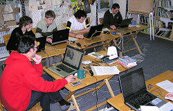 Zelen web webov kolen